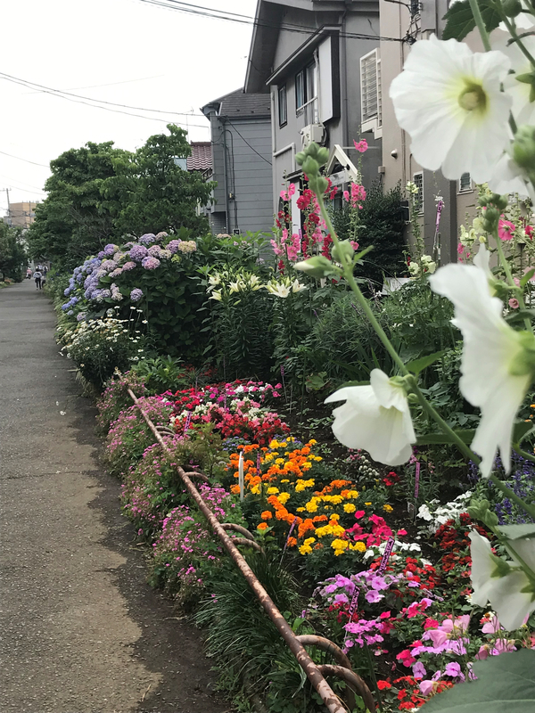 f:id:garadanikki:20190713133259j:plain