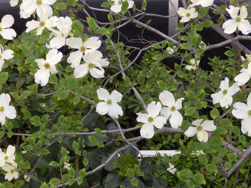 f:id:garadanikki:20190714113109j:plain