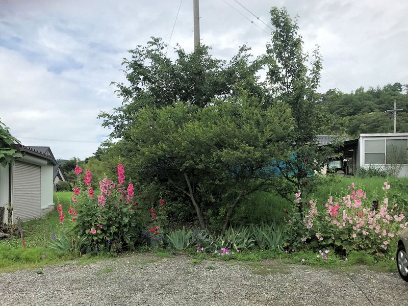 f:id:garadanikki:20190730102535j:plain