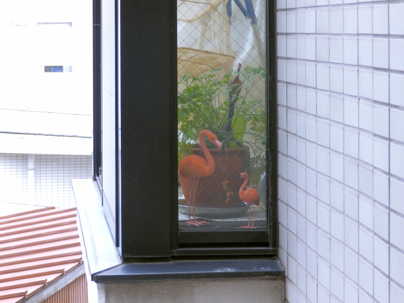 f:id:garadanikki:20190805133617j:plain