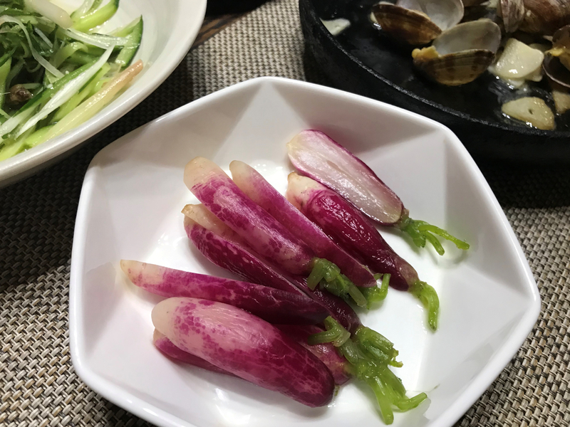 f:id:garadanikki:20190821113635j:plain