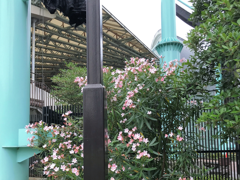 f:id:garadanikki:20190821123954j:plain