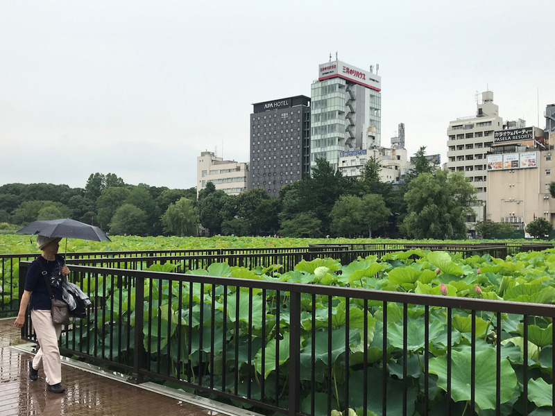 f:id:garadanikki:20190821124021j:plain