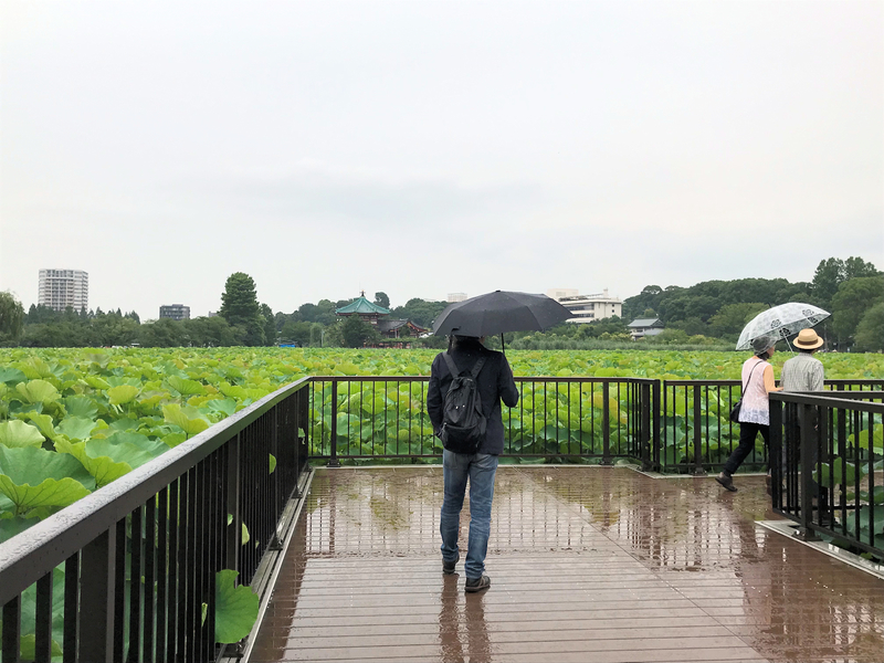 f:id:garadanikki:20190821124028j:plain