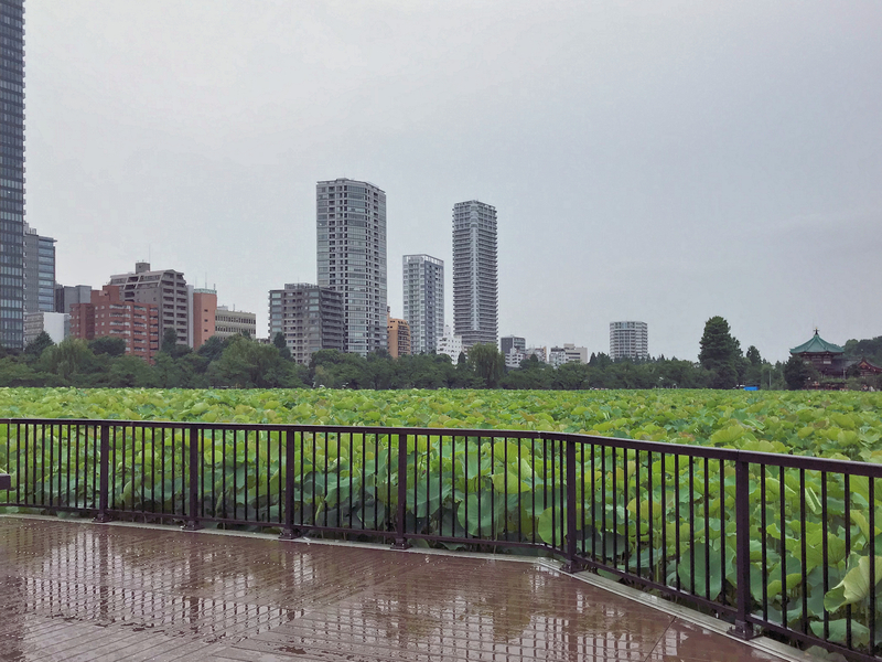 f:id:garadanikki:20190821124057j:plain