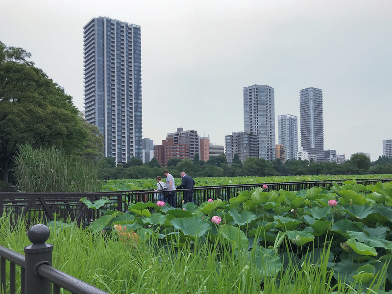 f:id:garadanikki:20190821124147j:plain