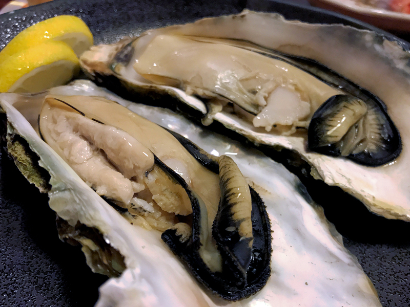 f:id:garadanikki:20190821124217j:plain