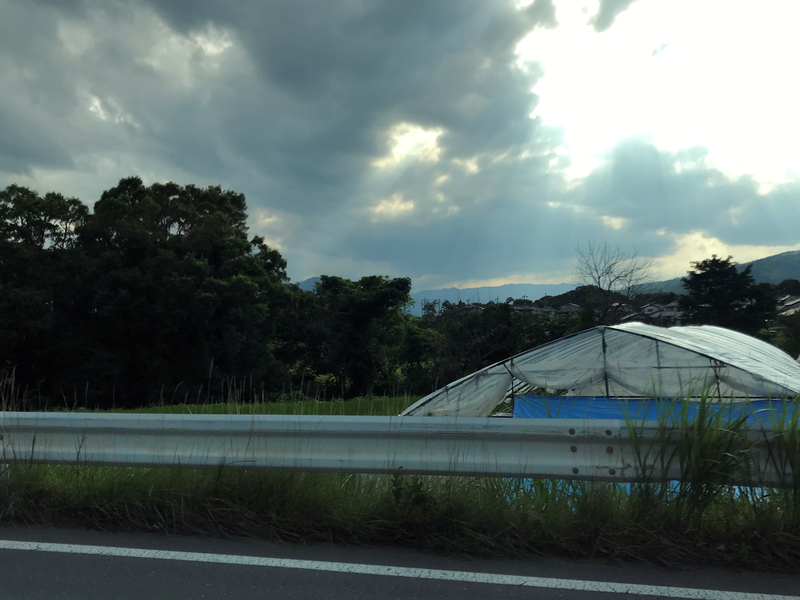 f:id:garadanikki:20190821145503j:plain