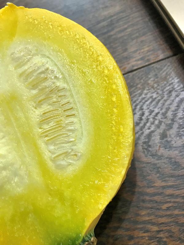 f:id:garadanikki:20190823130851j:plain