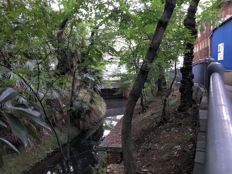 f:id:garadanikki:20190823164810j:plain
