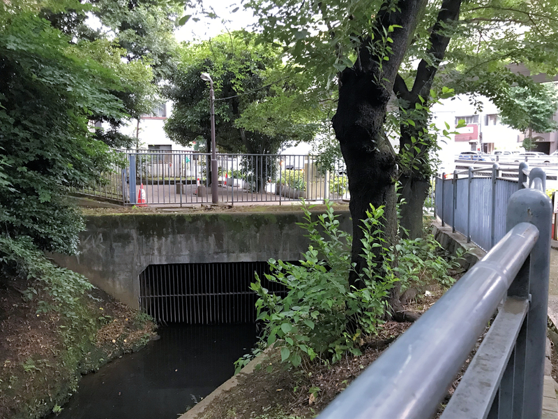 f:id:garadanikki:20190823164816j:plain
