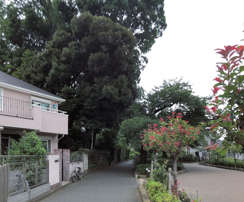 f:id:garadanikki:20190823165009j:plain