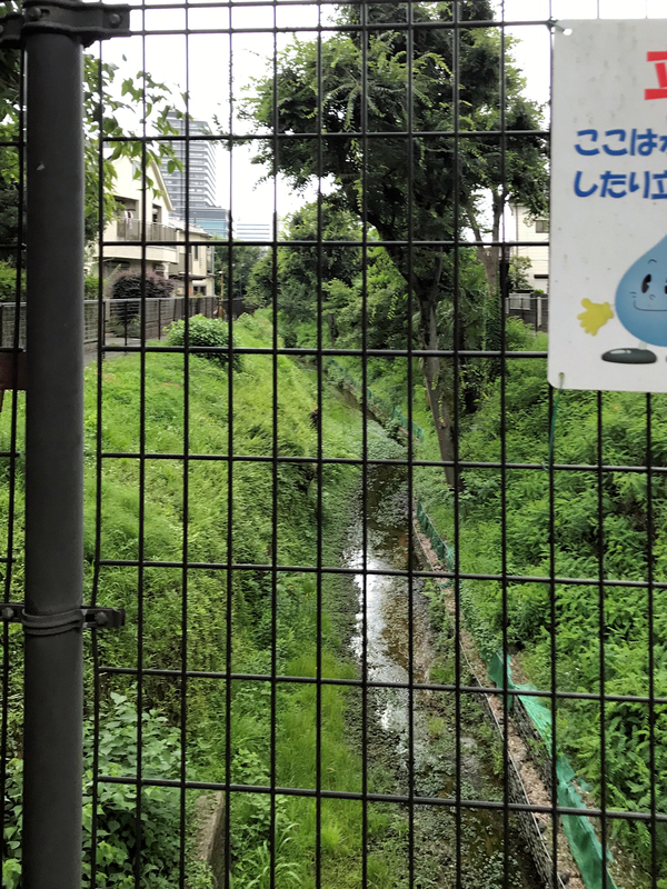 f:id:garadanikki:20190823165036j:plain