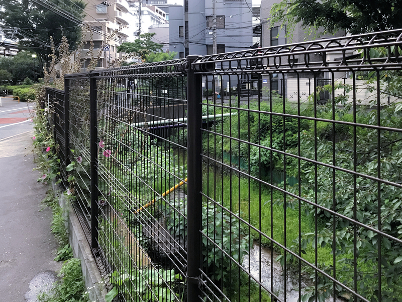 f:id:garadanikki:20190823165110j:plain