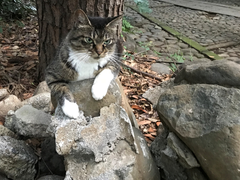 f:id:garadanikki:20190824143357j:plain