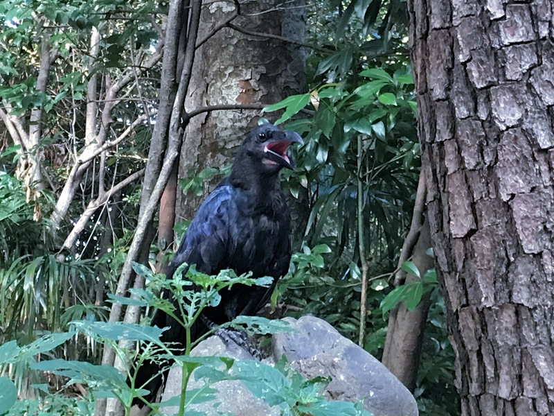 f:id:garadanikki:20190824143429j:plain