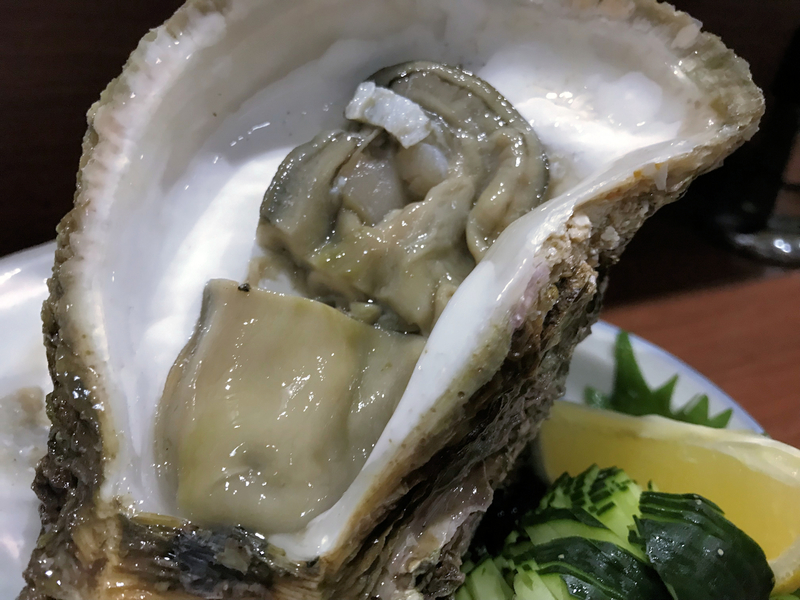 f:id:garadanikki:20190827140414j:plain