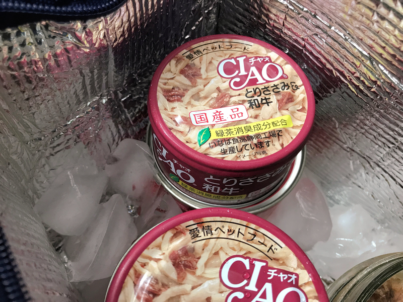 f:id:garadanikki:20190904113130j:plain