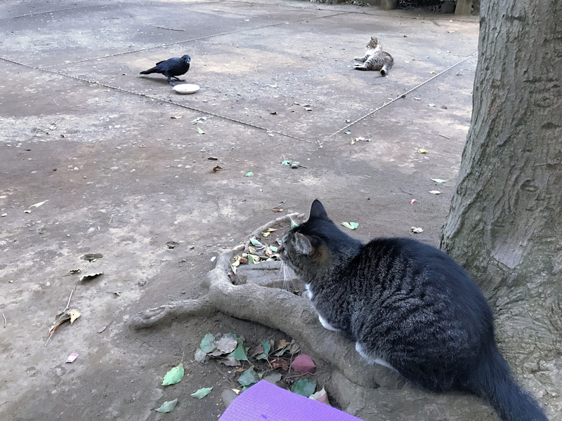 クリックすると大きくなります f:id:garadanikki:20190904144110j:plain