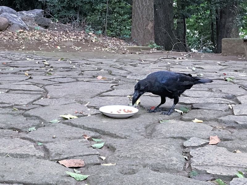 クリックすると大きくなります f:id:garadanikki:20190904144122j:plain