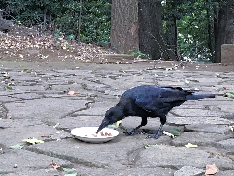 クリックすると大きくなります f:id:garadanikki:20190904144129j:plain