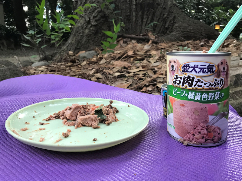 f:id:garadanikki:20190904144850j:plain