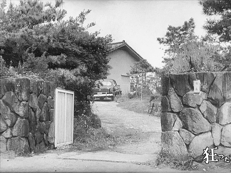 クリックすると大きくなります f:id:garadanikki:20190918115424j:plain