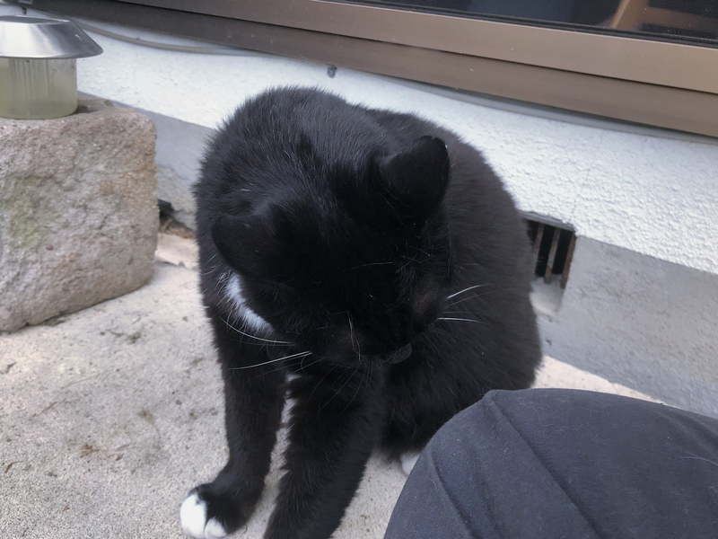 f:id:garadanikki:20191003140351j:plain