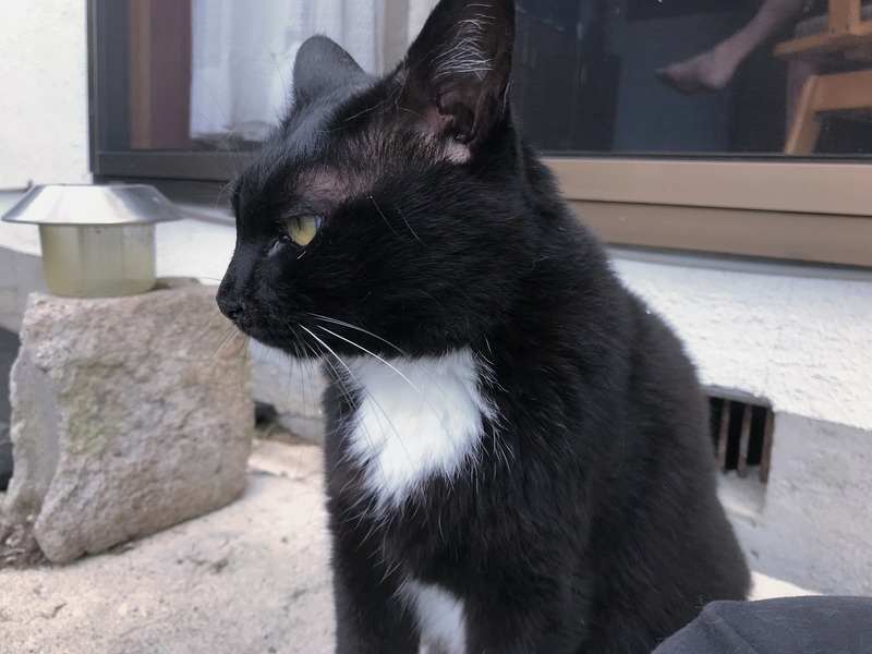 f:id:garadanikki:20191003140402j:plain
