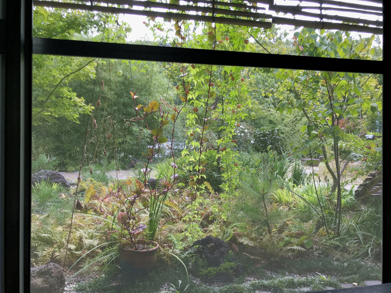 f:id:garadanikki:20191003151158j:plain
