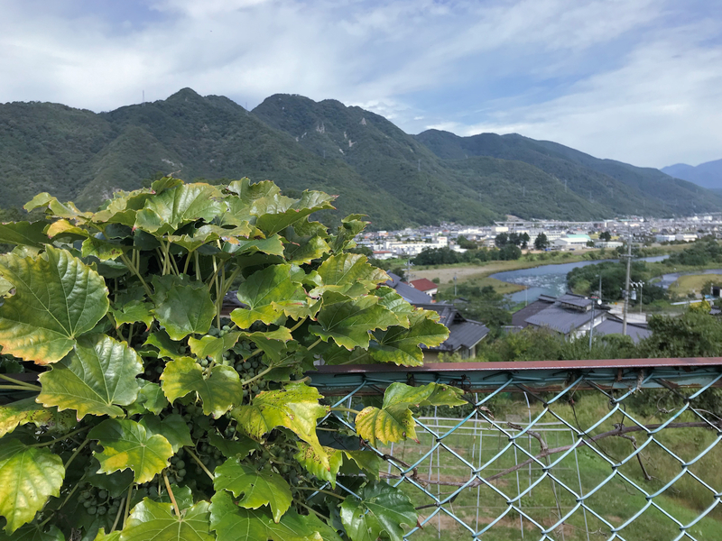f:id:garadanikki:20191003151302j:plain