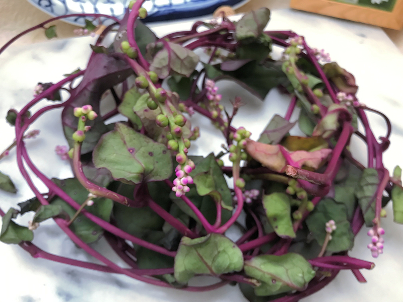 f:id:garadanikki:20191003194105j:plain