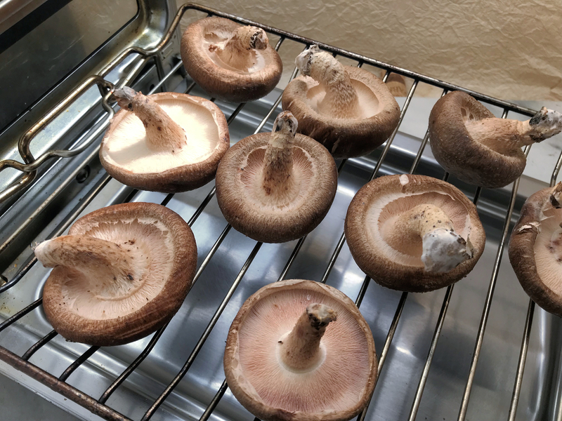 f:id:garadanikki:20191005223629j:plain