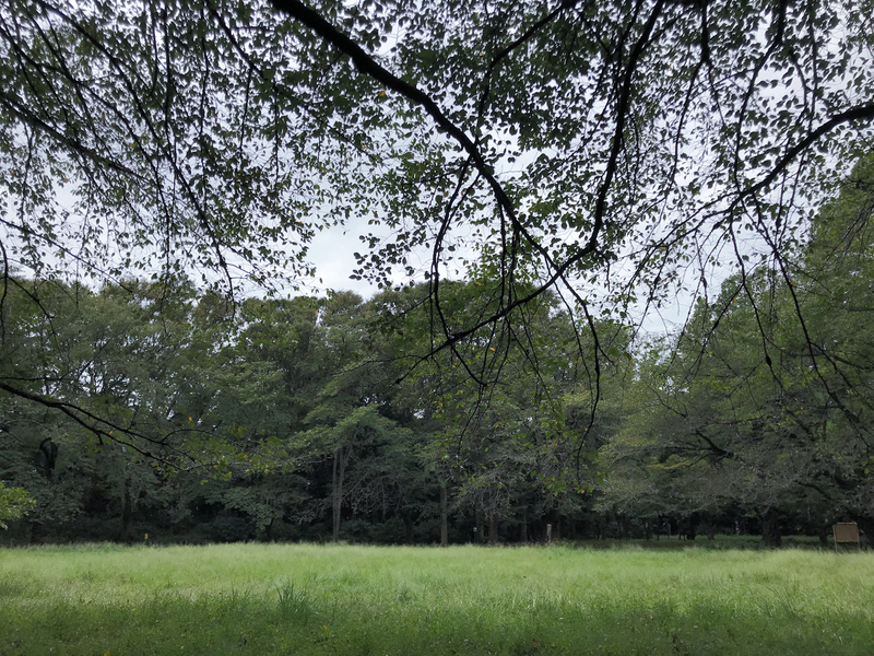 f:id:garadanikki:20191011145952j:plain