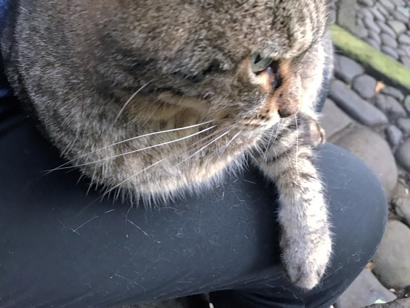f:id:garadanikki:20191018154201j:plain f:id:garadanikki:20191018154201j:plain