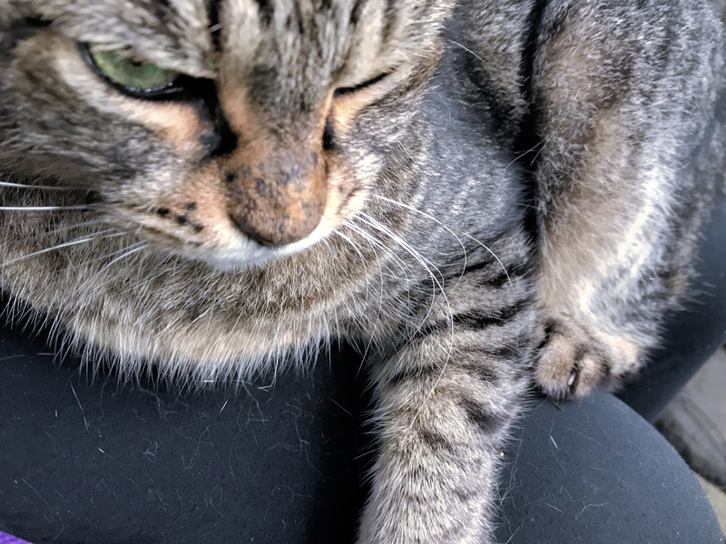 f:id:garadanikki:20191018154207j:plain f:id:garadanikki:20191018154207j:plain