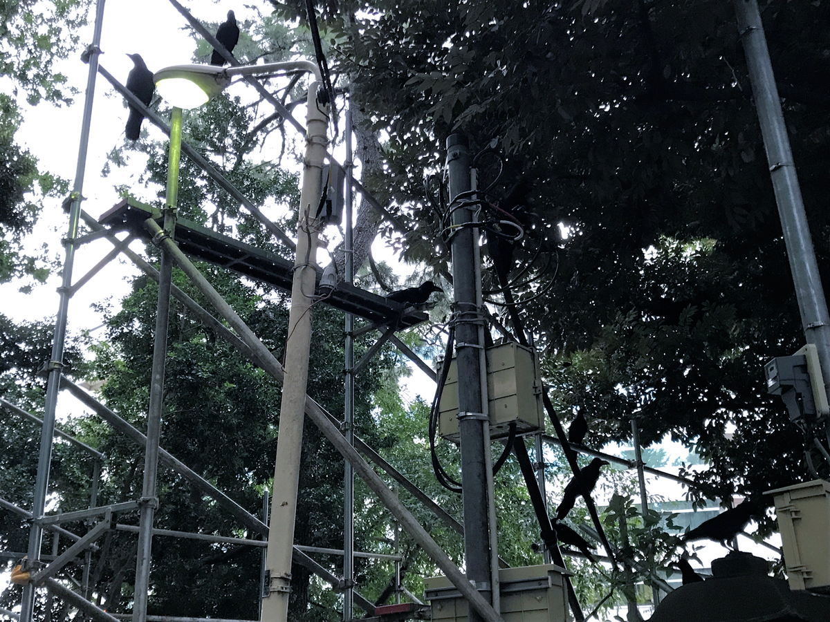 f:id:garadanikki:20191020164334j:plain f:id:garadanikki:20191020164334j:plain