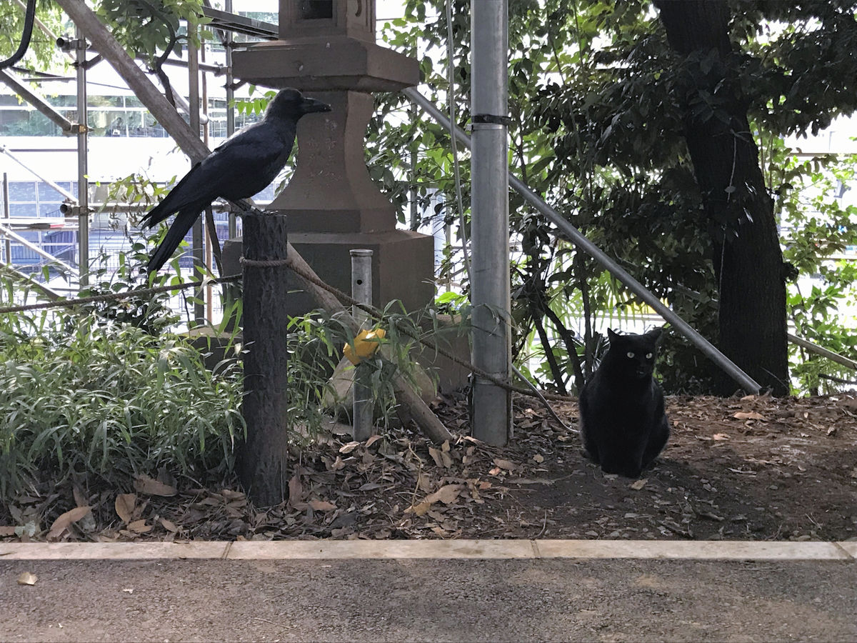 f:id:garadanikki:20191020164530j:plain