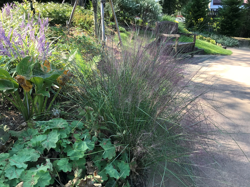 f:id:garadanikki:20191020170201j:plain f:id:garadanikki:20191020170201j:plain