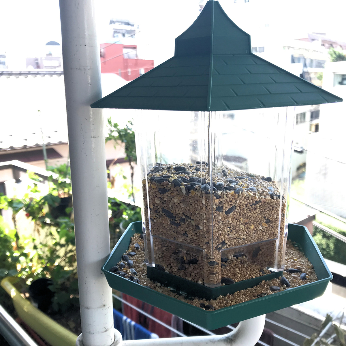 f:id:garadanikki:20191020172614j:plain f:id:garadanikki:20191020172614j:plain