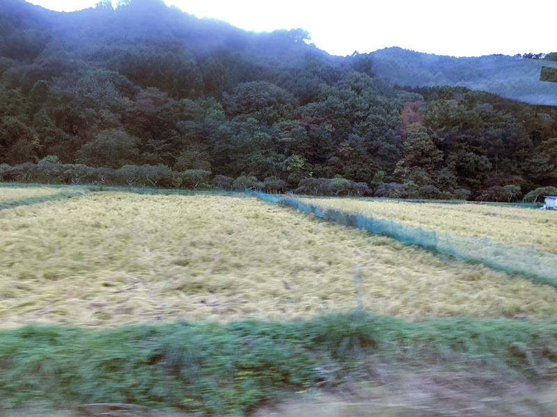 f:id:garadanikki:20191025165736j:plain