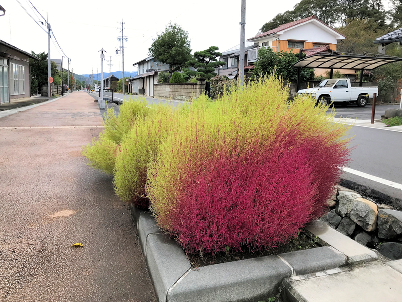 f:id:garadanikki:20191025170132j:plain