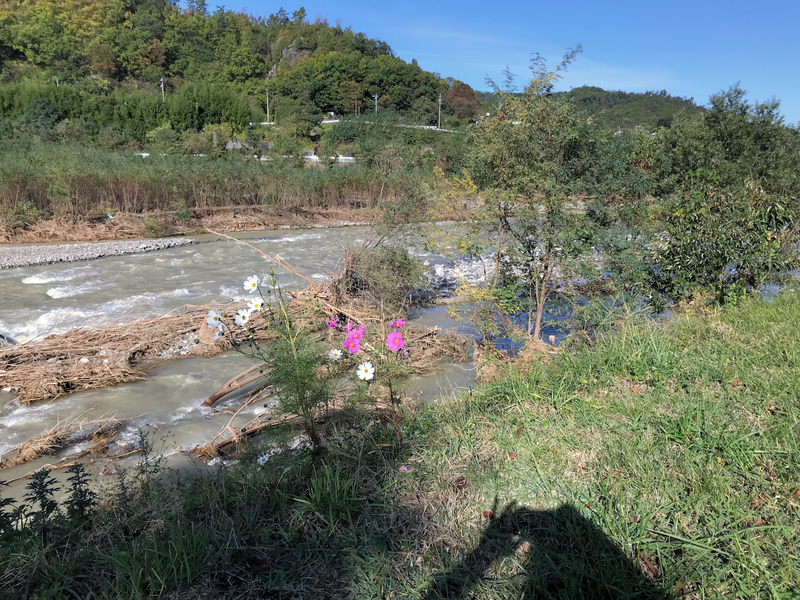 f:id:garadanikki:20191025170544j:plain f:id:garadanikki:20191025170544j:plain