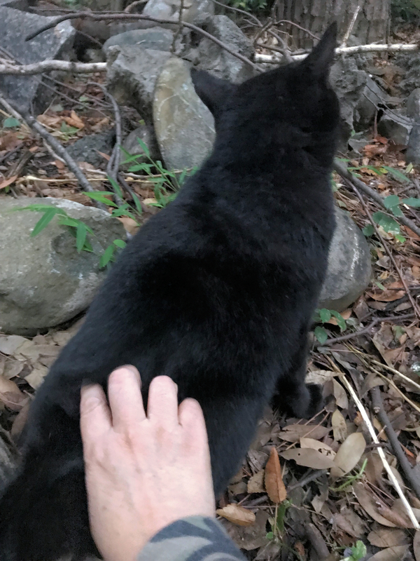 f:id:garadanikki:20191101171826j:plain