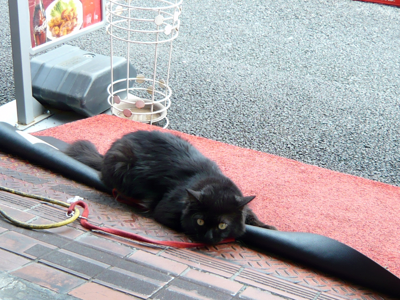 f:id:garadanikki:20191117142401j:plain