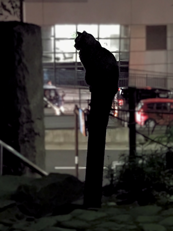 f:id:garadanikki:20191202110325j:plain f:id:garadanikki:20191202110325j:plain