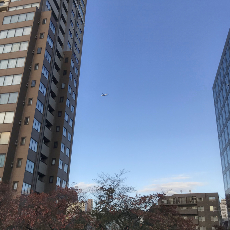 f:id:garadanikki:20191209144818j:plain