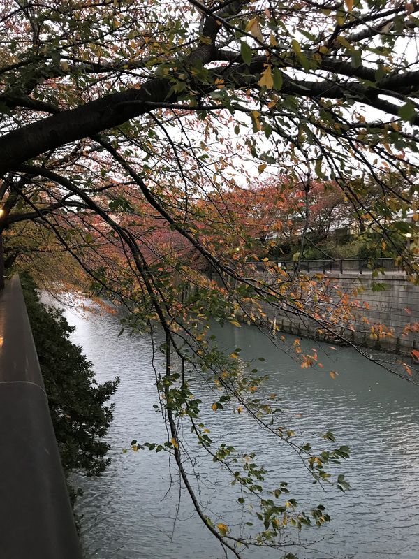 f:id:garadanikki:20191209145028j:plain