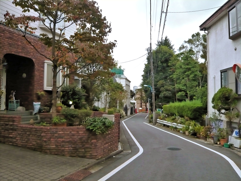 f:id:garadanikki:20200214151427j:plain