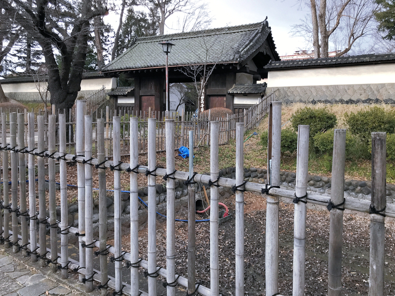 f:id:garadanikki:20200302082500j:plain f:id:garadanikki:20200302082500j:plain